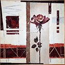 A 129, Brown Rose II, 70 x 70 mit Rahmen