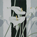 A 24, Beautiful Calla II, 50 x 50 ohne Rahmen