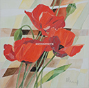 A 2, Poppies, 50 x 50 mit Rahmen