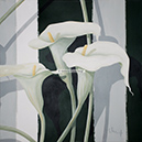 A 86, Beautiful Calla III, 60 x 60 ohne Rahmen