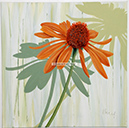 A 96, Echinacea II, 70 x 70 mit Rahmen